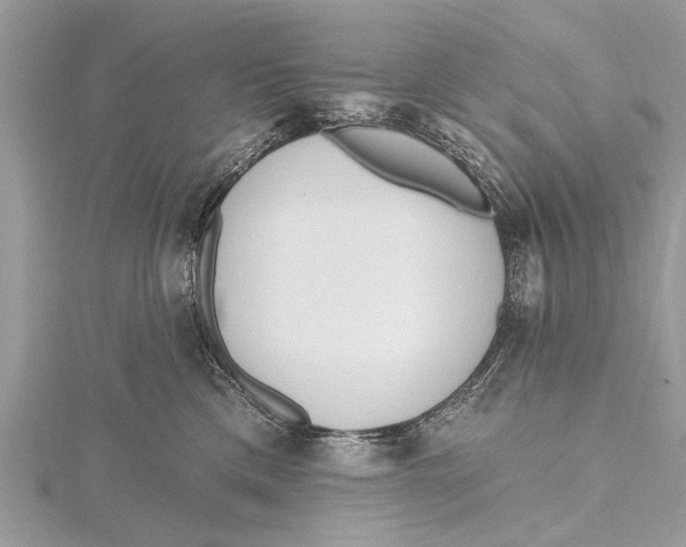 X0000115630425200912011444