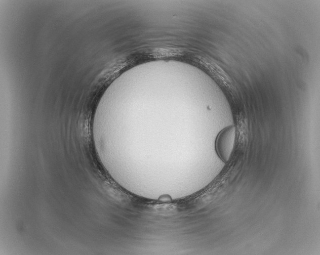 X0000115630426200912011444