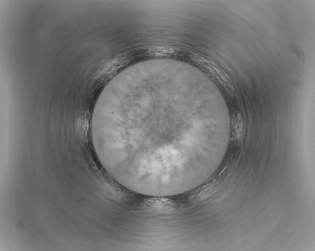 X0000115630427200912011444