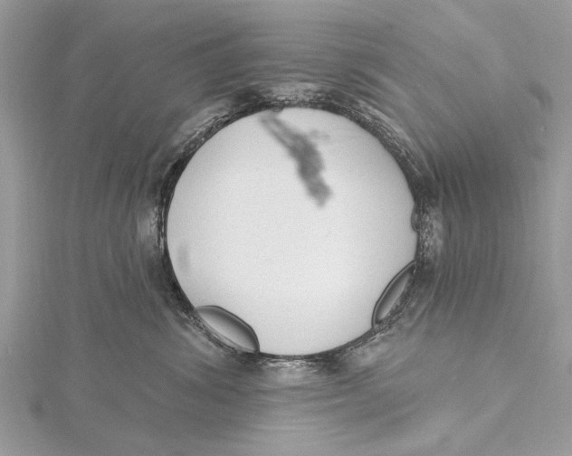 X0000115630428200912011444