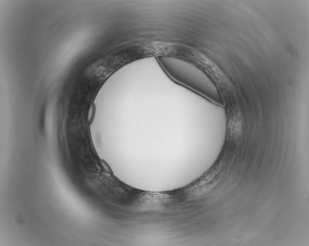 X0000115630429200912011444