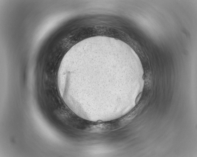 X0000115630430200912011444