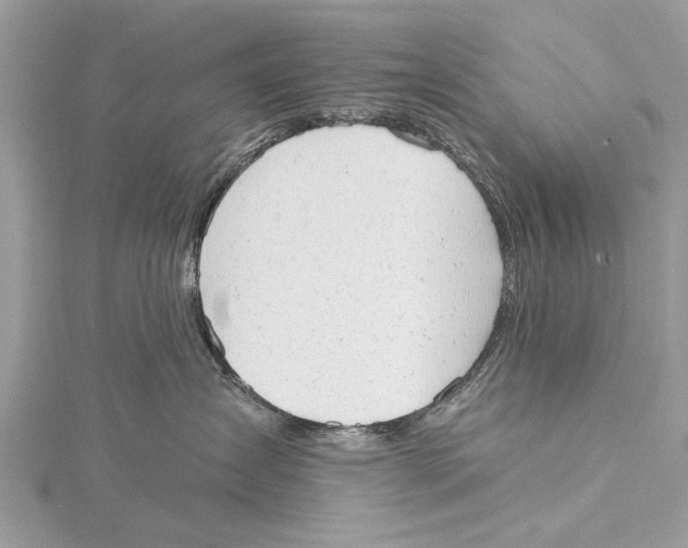 X0000115630431200912011444