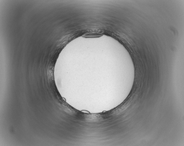 X0000115630432200912011444