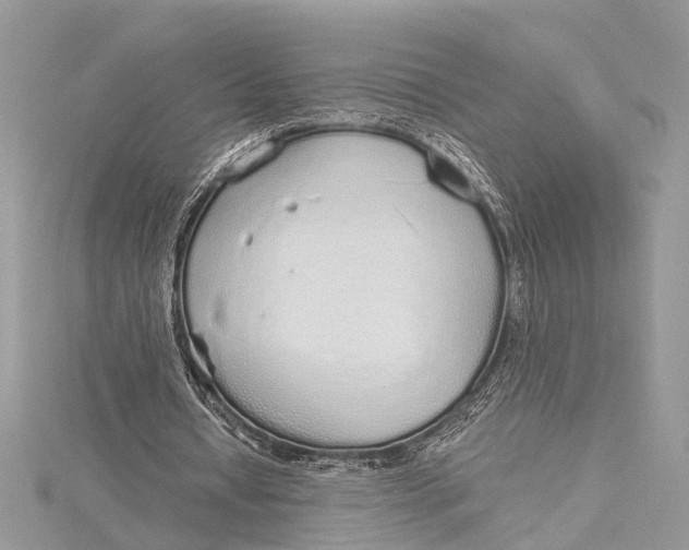 X0000115630434200912011444