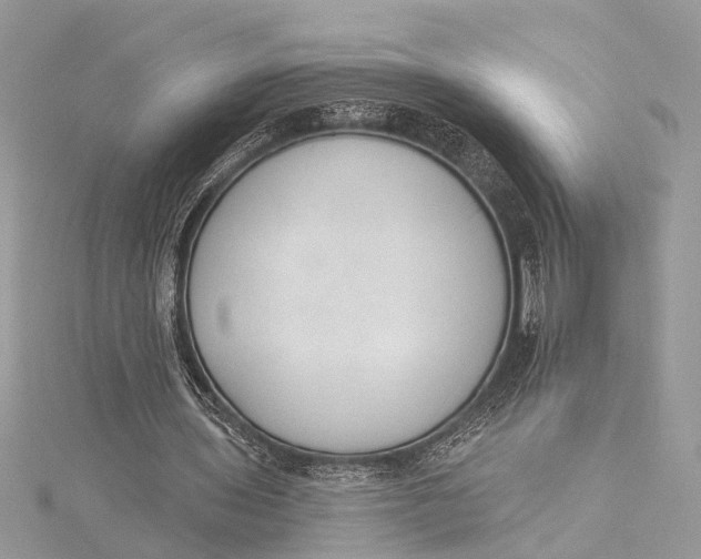 X0000115630435200912011444