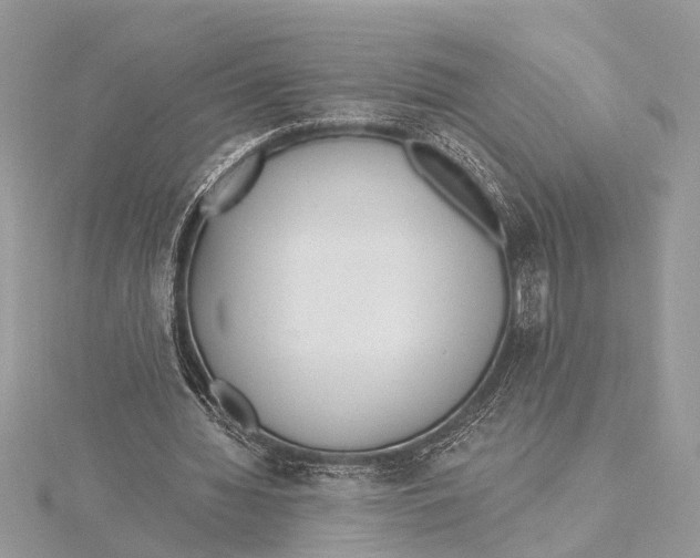 X0000115630436200912011444