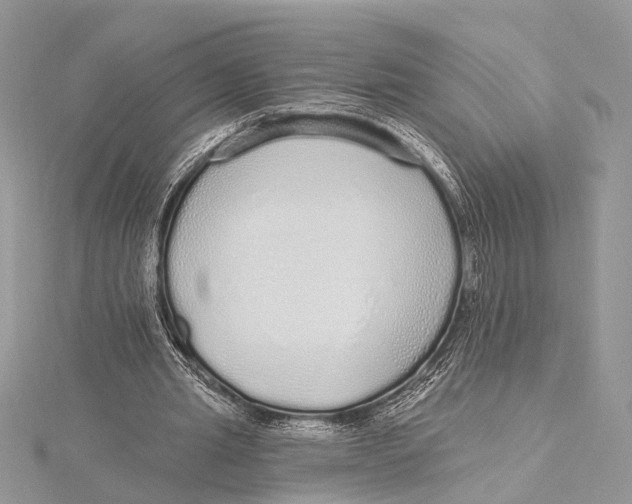 X0000115630437200912011444