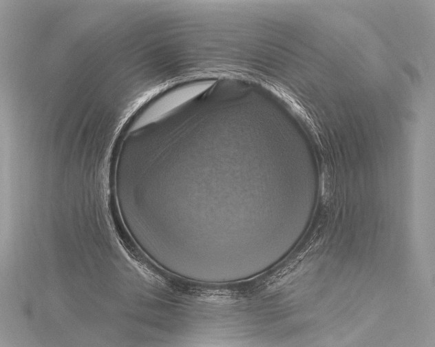 X0000115630438200912011444