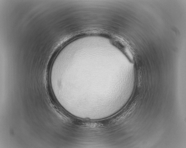 X0000115630439200912011444