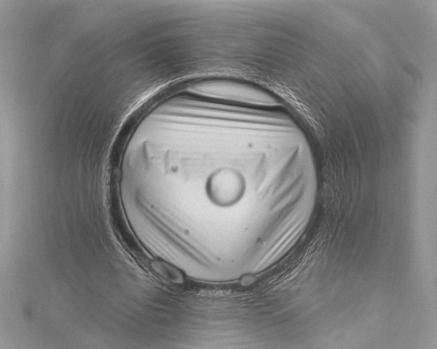 X0000115630440200912011444