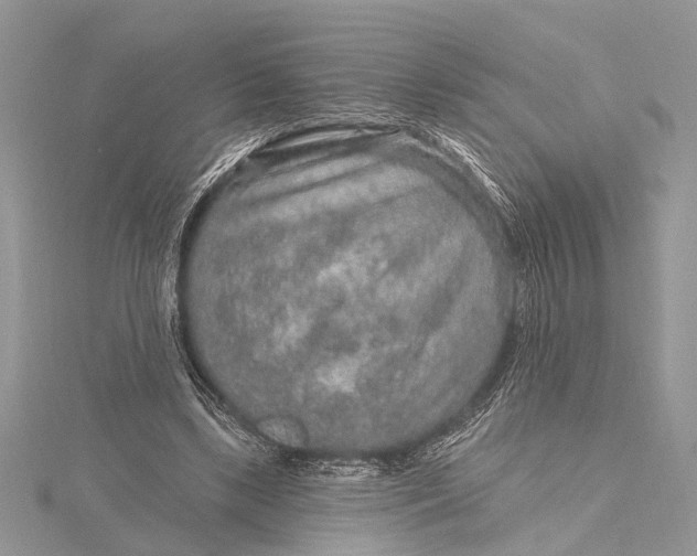 X0000115630443200912011444