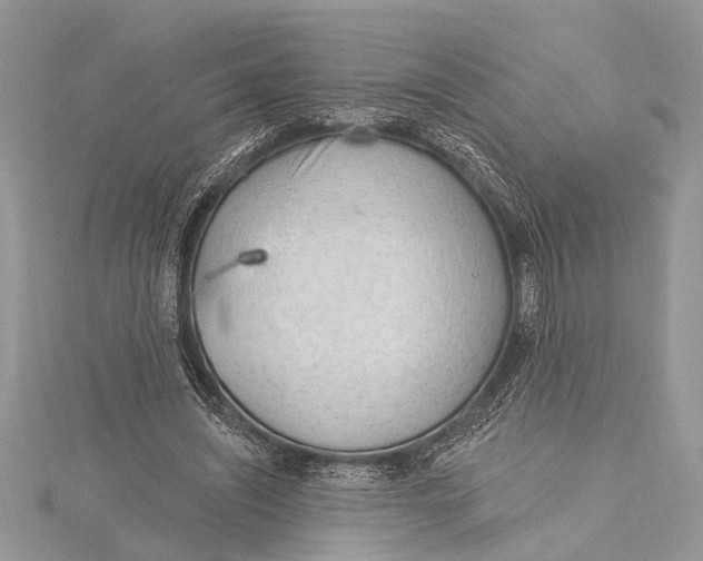 X0000115630444200912011444