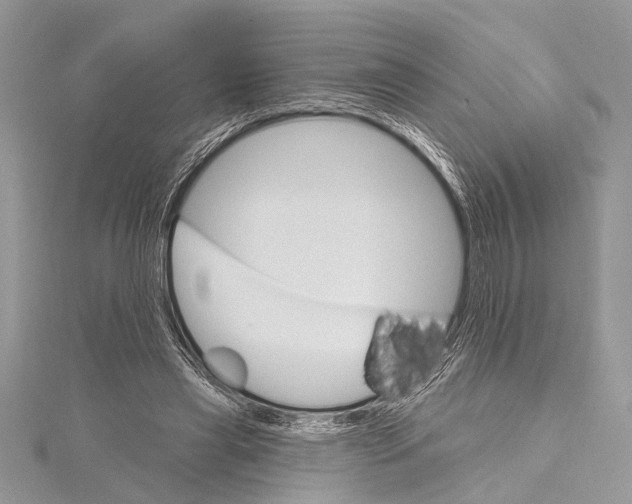 X0000115630445200912011444