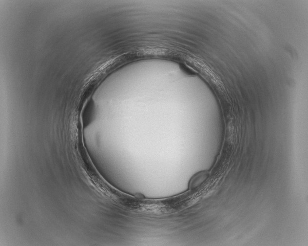 X0000115630446200912011444