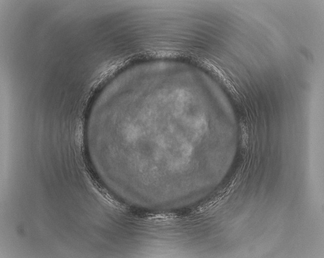 X0000115630447200912011444