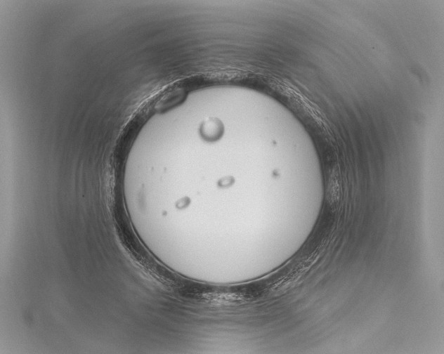 X0000115630448200912011444