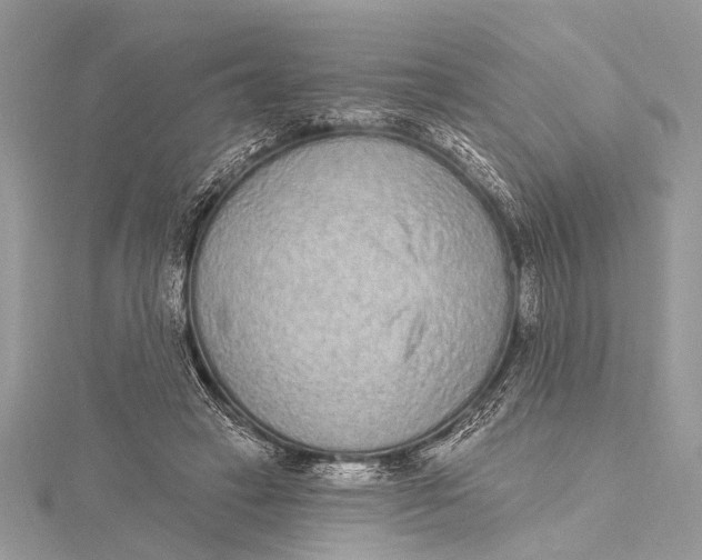 X0000115630449200912011444