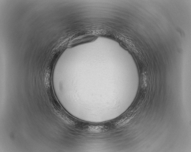 X0000115630450200912011444