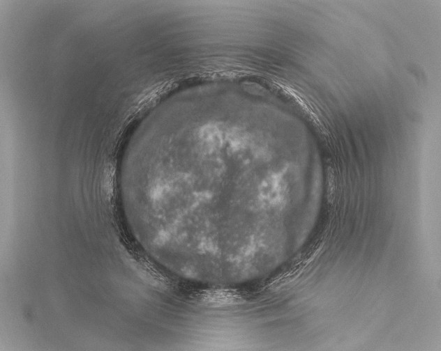 X0000115630451200912011444