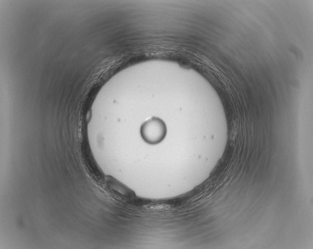 X0000115630452200912011444