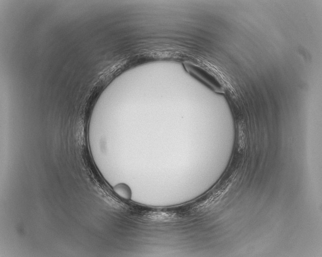 X0000115630453200912011444