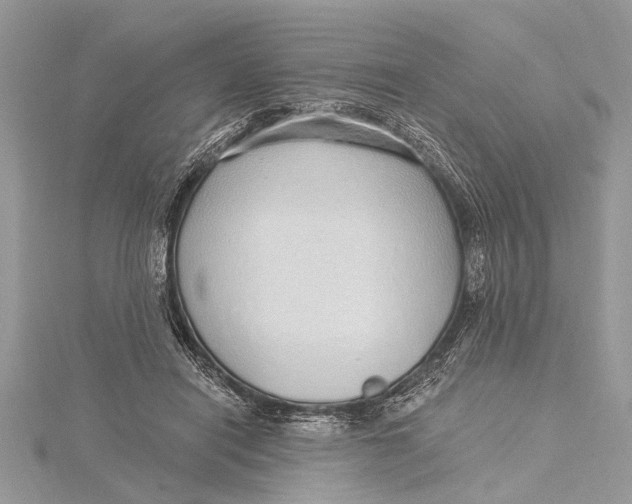 X0000115630454200912011444