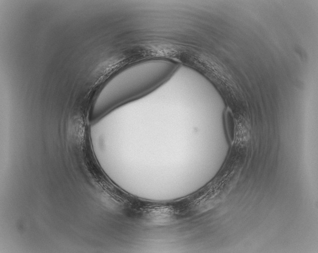 X0000115630456200912011444