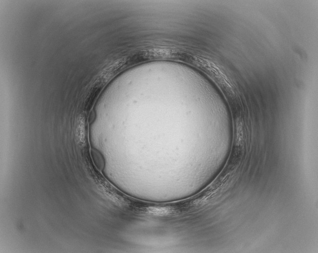 X0000115630457200912011444