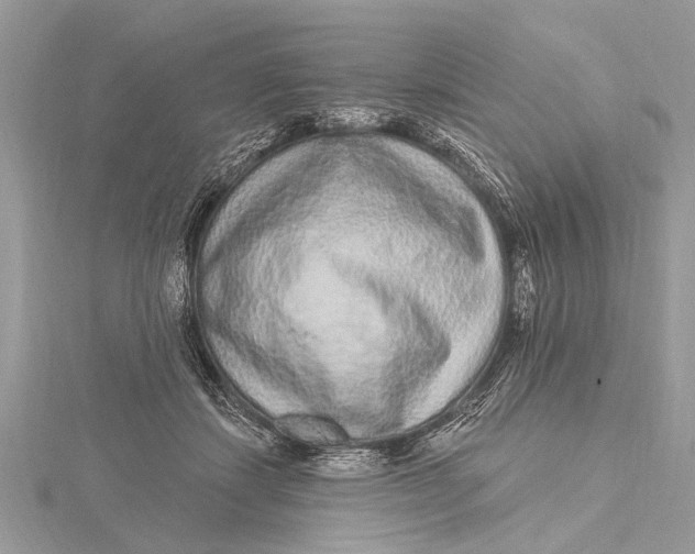 X0000115630459200912011444