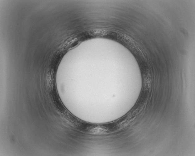 X0000115630460200912011444