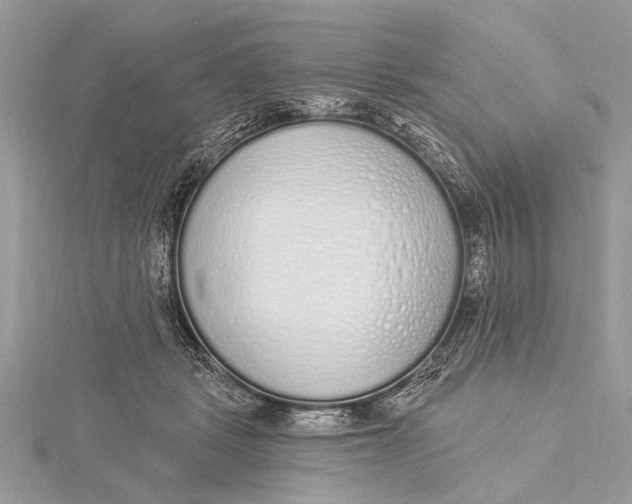 X0000115630461200912011444