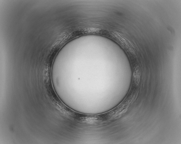 X0000115630462200912011444