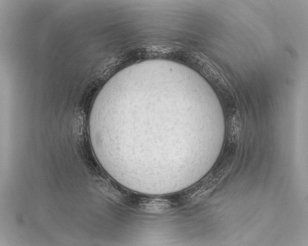 X0000115630463200912011444