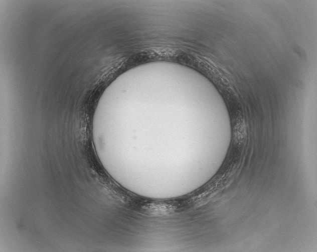 X0000115630464200912011444