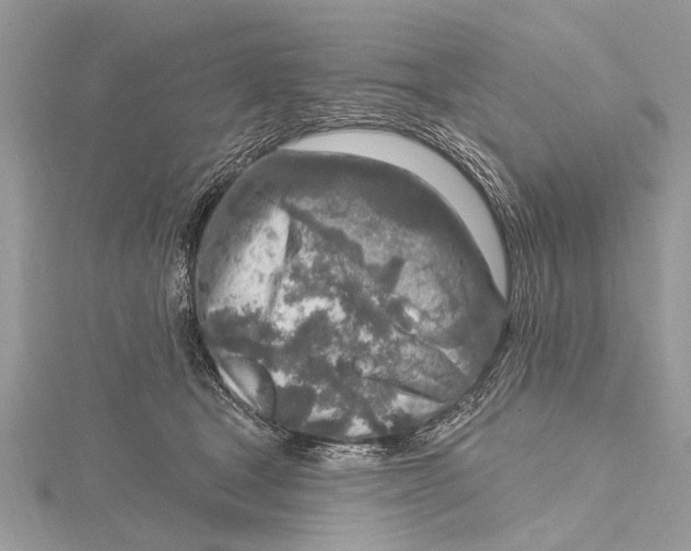 X0000115630465200912011444