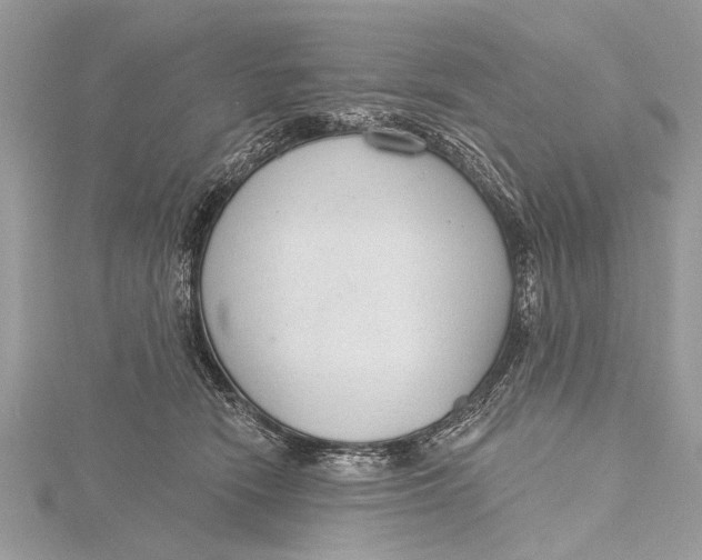 X0000115630466200912011444