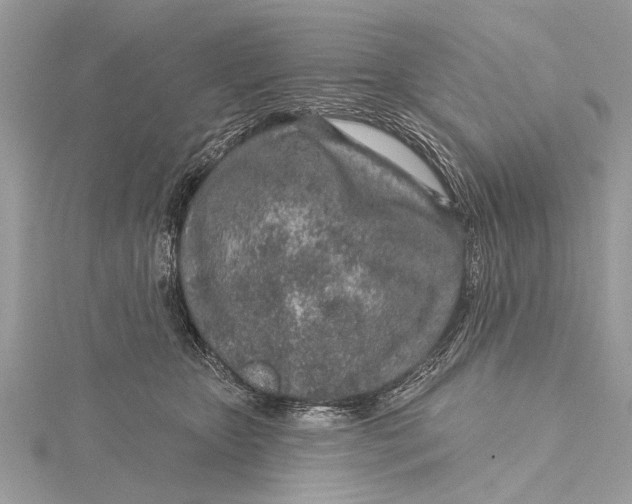 X0000115630467200912011444