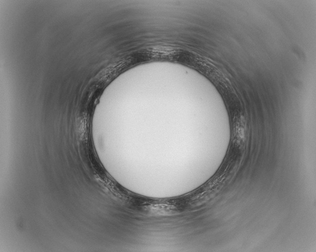 X0000115630468200912011444