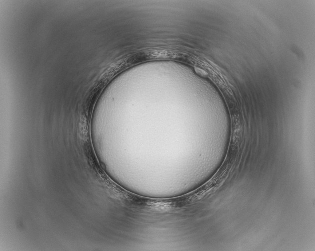 X0000115630469200912011444