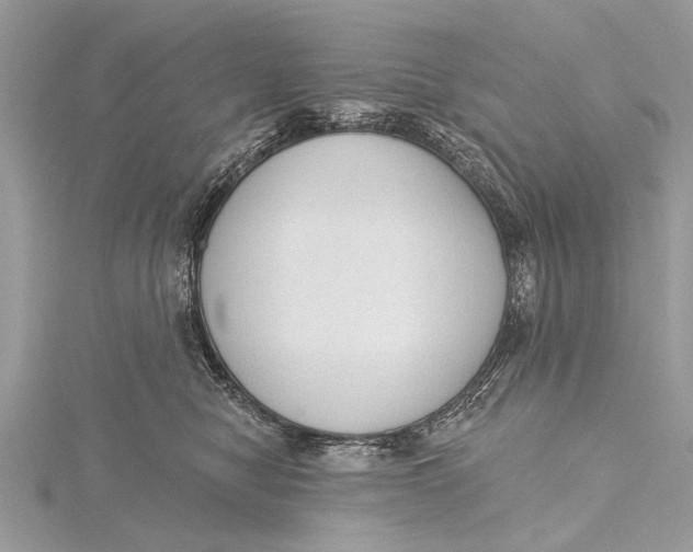 X0000115630470200912011444