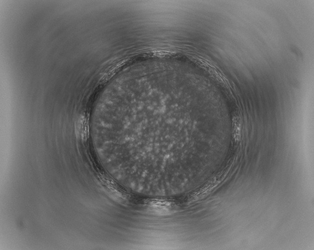 X0000115630471200912011444