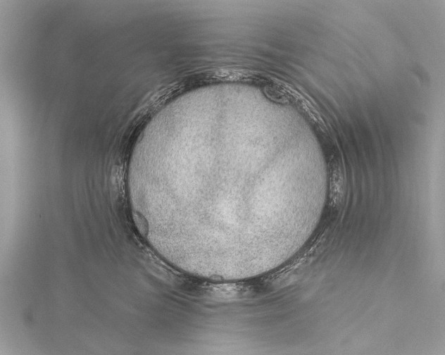 X0000115630473200912011444