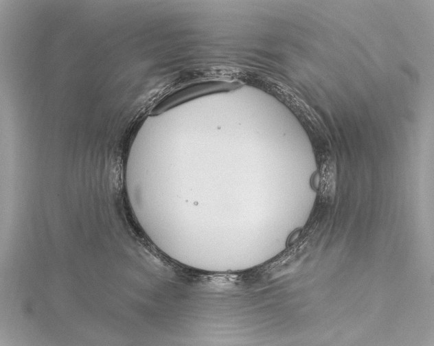 X0000115630474200912011444