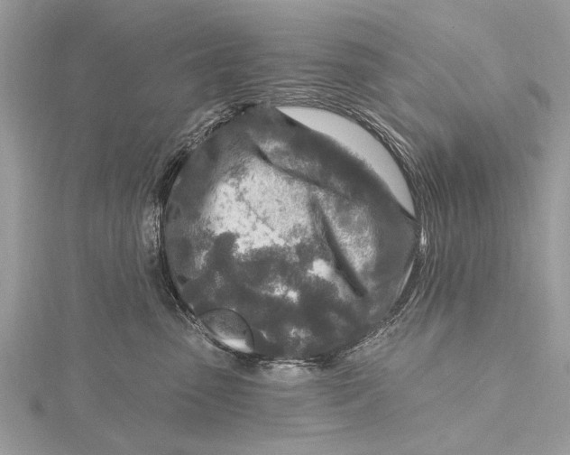 X0000115630475200912011444