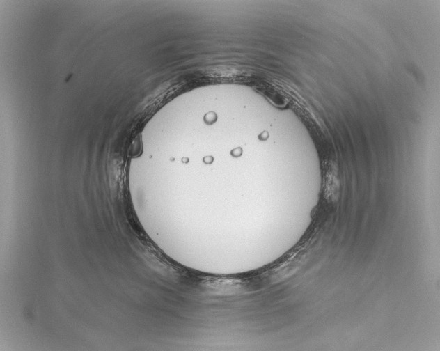 X0000115630476200912011444