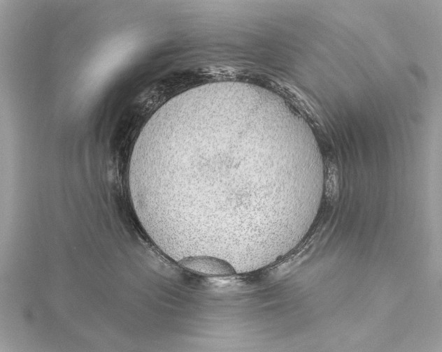 X0000115630477200912011444