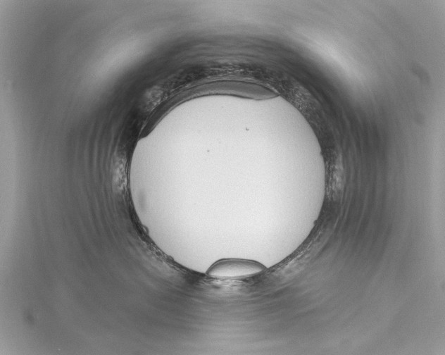 X0000115630478200912011444