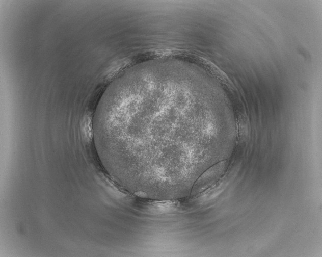 X0000115630479200912011444