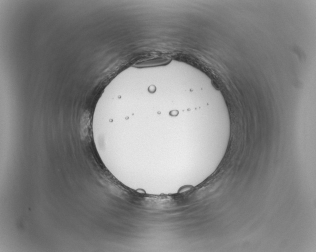 X0000115630480200912011444